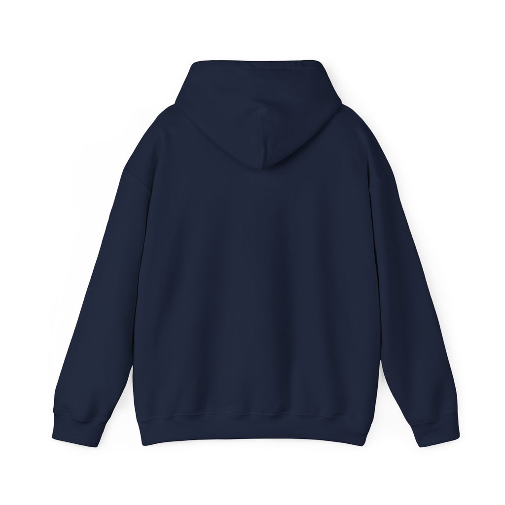 Dolphin Sunset Hoodie — Tropical Ocean Sunset Dolphin Graphic Sweatshirt