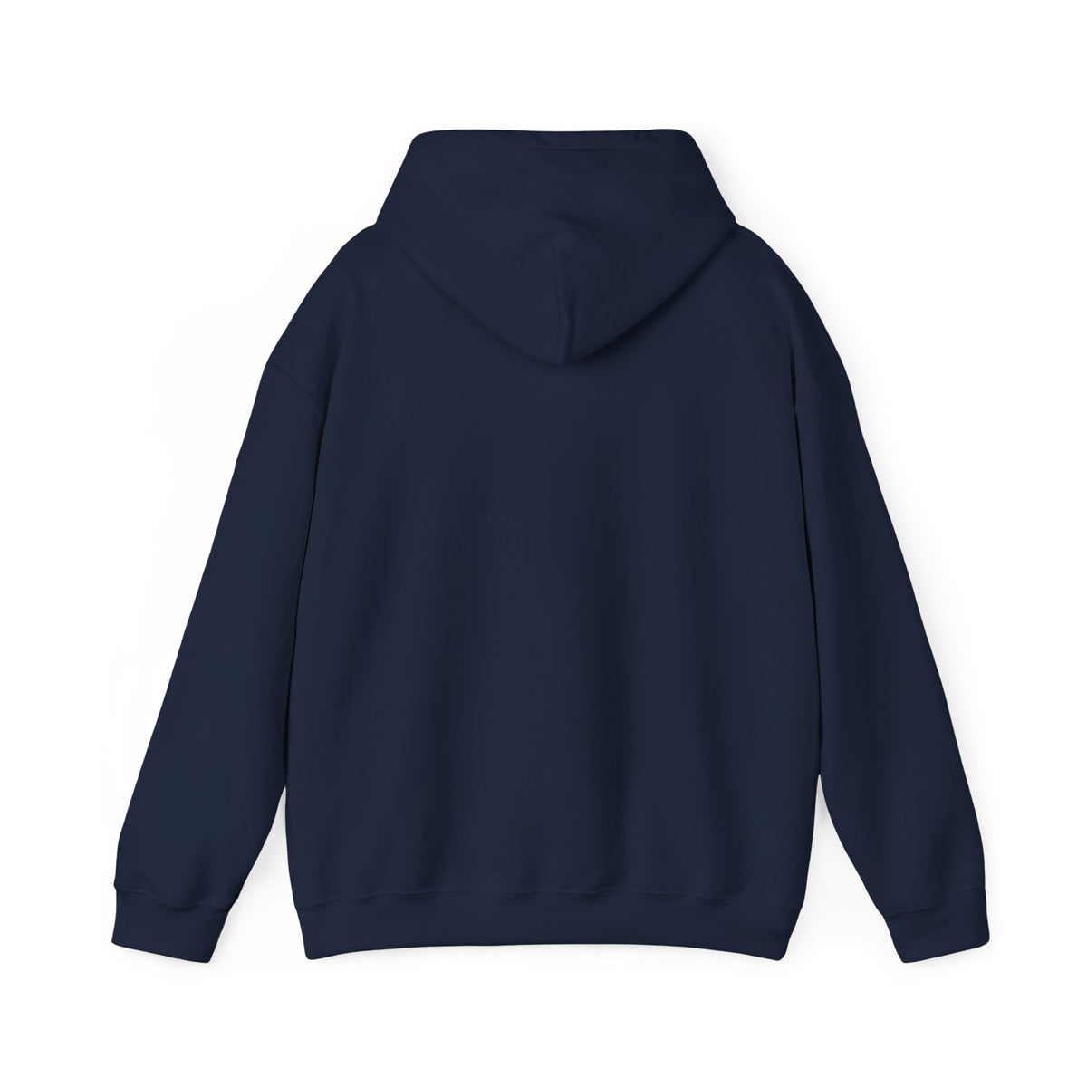 Dolphin Sunset Hoodie — Tropical Ocean Sunset Dolphin Graphic Sweatshirt