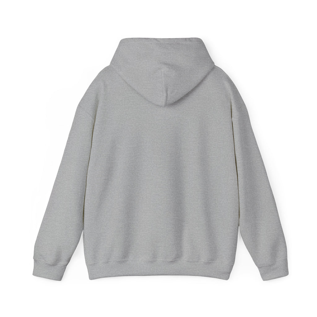 Dolphin Sunset Hoodie — Tropical Ocean Sunset Dolphin Graphic Sweatshirt