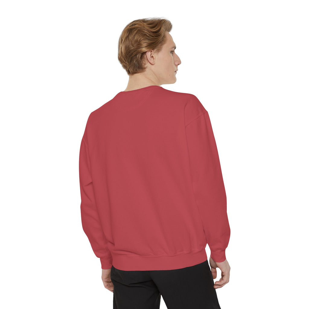 Dolphin Night Sky Sweatshirt — Nautical Boho Dolphin Crewneck
