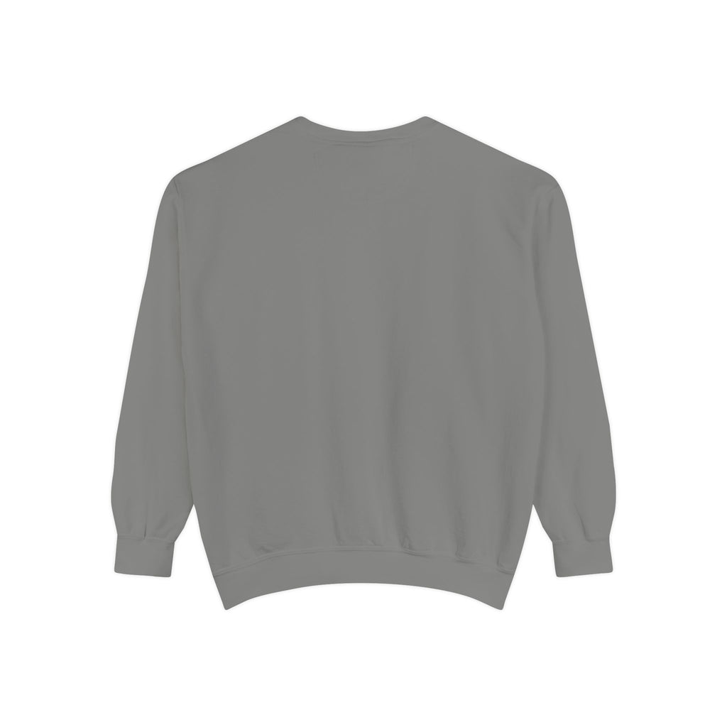 Dolphin Night Sky Sweatshirt — Nautical Boho Dolphin Crewneck