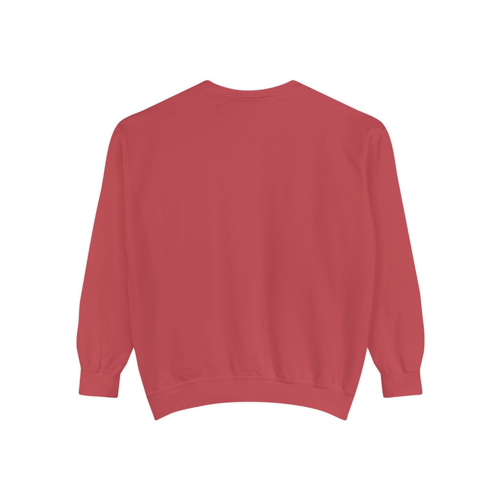Dolphin Night Sky Sweatshirt — Nautical Boho Dolphin Crewneck