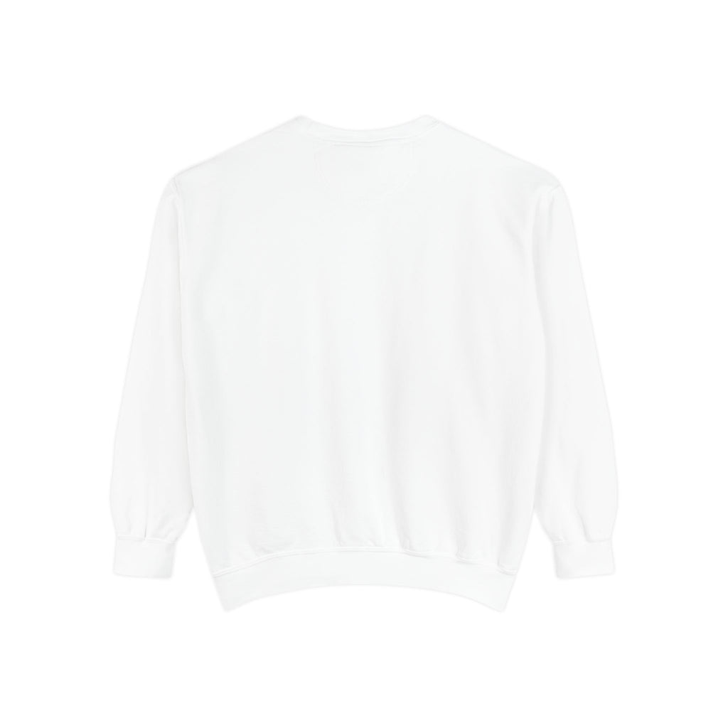 Dolphin Night Sky Sweatshirt — Nautical Boho Dolphin Crewneck