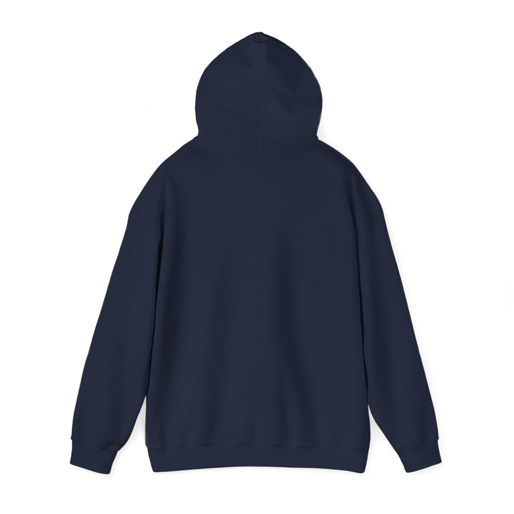 Dolphin Sunset Hoodie — Majestic Jump Ocean Graphic Sweatshirt