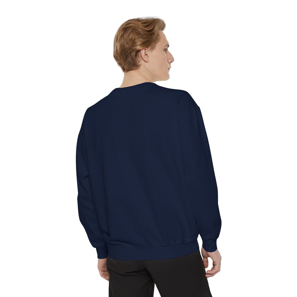 Dolphin Night Sky Sweatshirt — Nautical Boho Dolphin Crewneck
