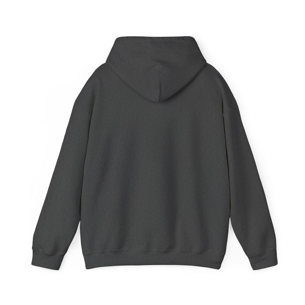 Dolphin Sunset Hoodie — Majestic Jump Ocean Graphic Sweatshirt