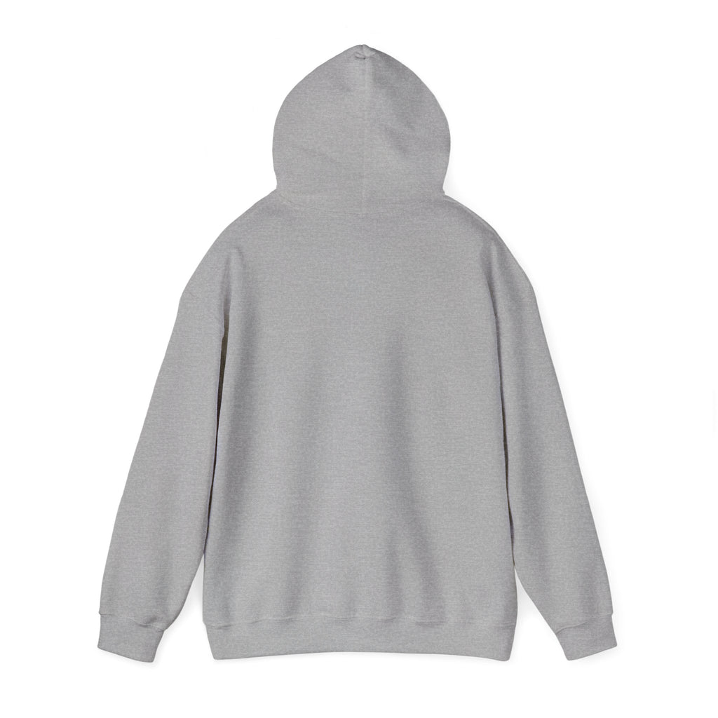 Dolphin Sunset Hoodie — Tropical Ocean Sunset Dolphin Graphic Sweatshirt