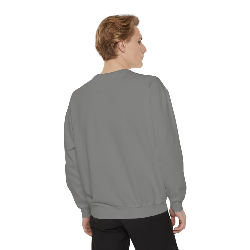 Dolphin Night Sky Sweatshirt — Nautical Boho Dolphin Crewneck