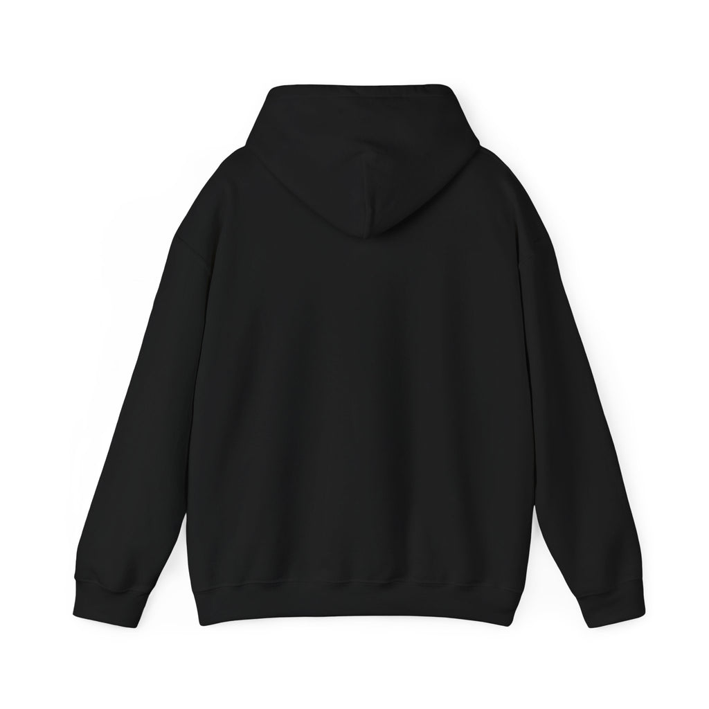 Dolphin Sunset Hoodie — Tropical Ocean Sunset Dolphin Graphic Sweatshirt