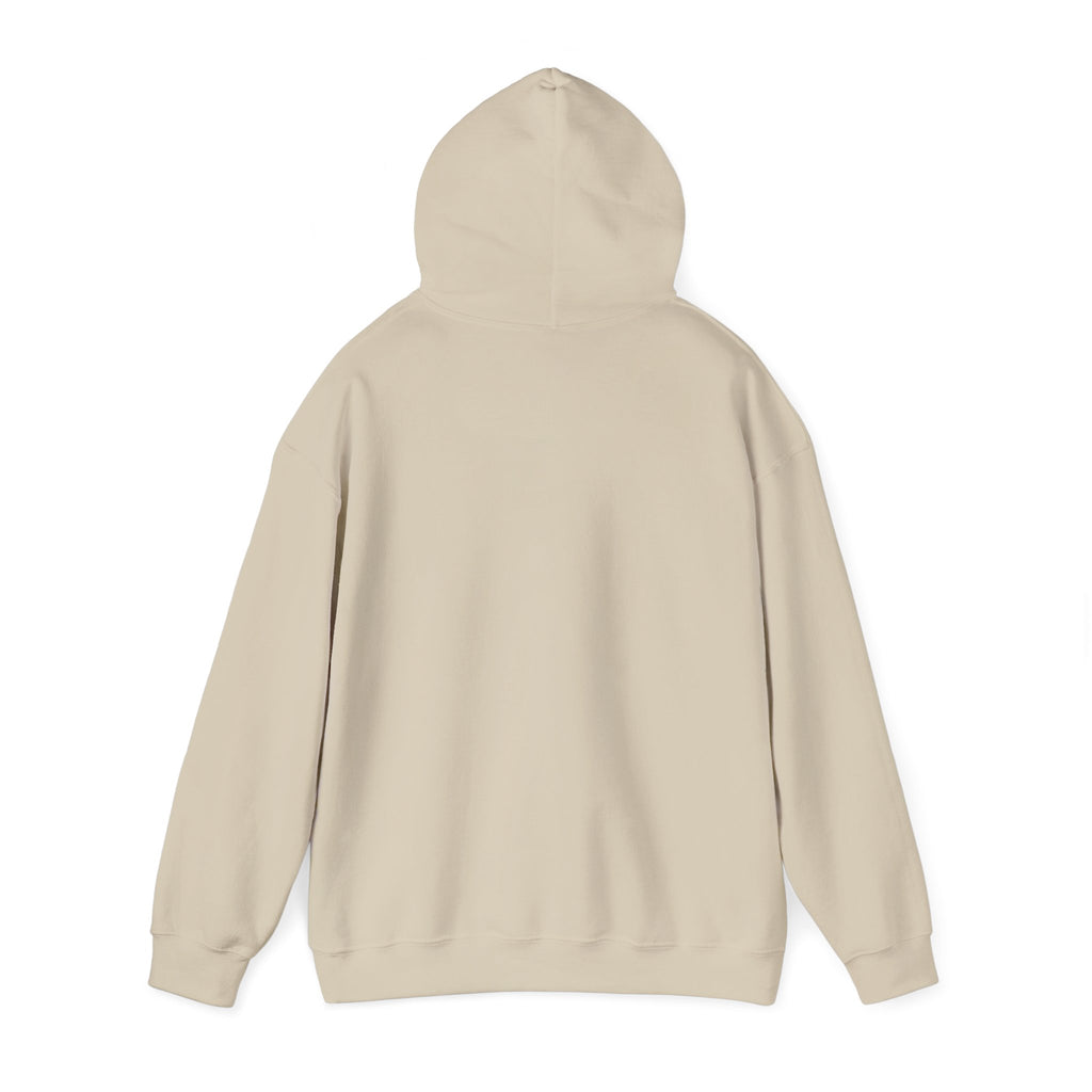 Dolphin Sunset Hoodie — Tropical Ocean Sunset Dolphin Graphic Sweatshirt