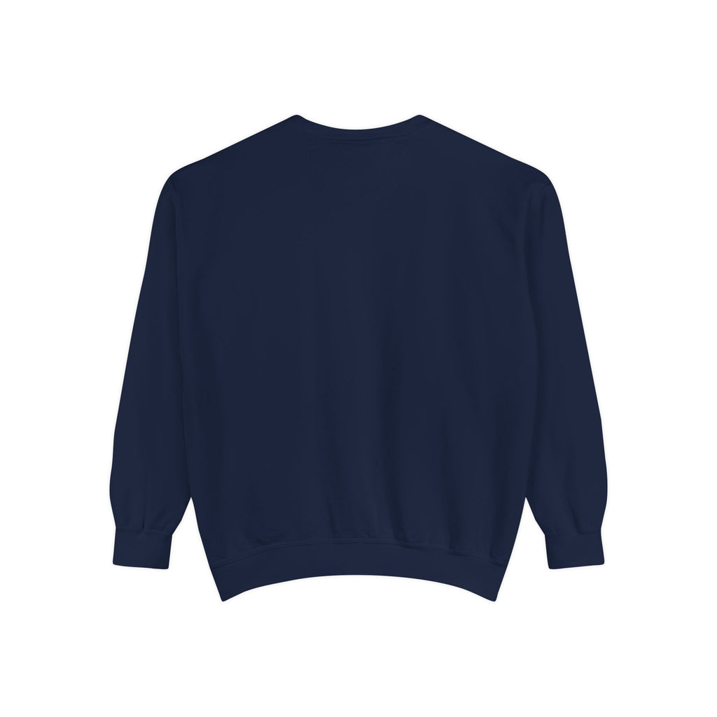 Dolphin Night Sky Sweatshirt — Nautical Boho Dolphin Crewneck