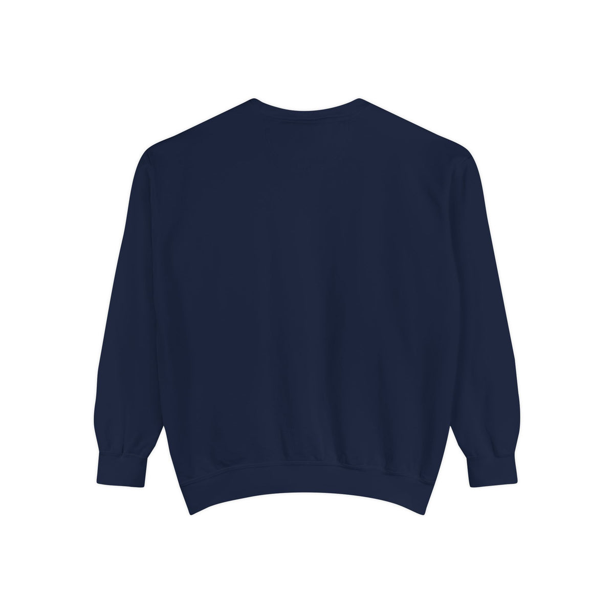 Dolphin Night Sky Sweatshirt — Nautical Boho Dolphin Crewneck